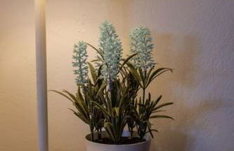 Sunrise Monsaraz - Telheiro e Jardim - 4 pessoas - Foto 32