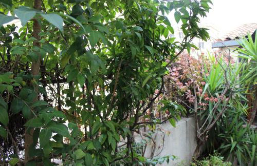 Appartement avec beaucoup de cachet central et calme - Foto 3