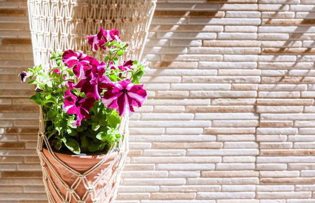 Ariadne Beautiful Studio - Foto 21