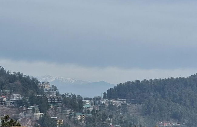 VivaPines - Photo 14