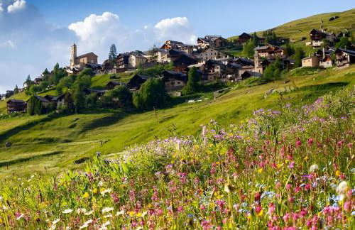 Casa-La Carotto Appartement pour 6 dans chalet - Foto 4