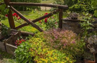 Agriturismo Podere Il Colle - Foto 37