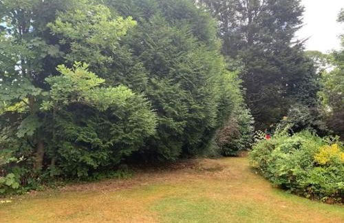 Birmingham Bungalow Serviced Apartment NEC Airport Bullring - Foto 9