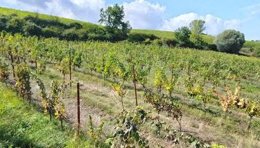 Case vacanza "LA FORNACE" - Foto 5