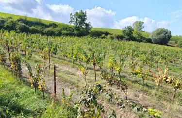 Case vacanza "LA FORNACE" - Foto 5