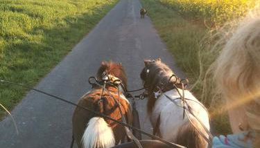 Lavendelmond Ferien - Foto 3
