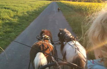 Lavendelmond Ferien - Foto 3