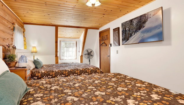 BIG Bear Haven #2343 - Foto 4, Habitación