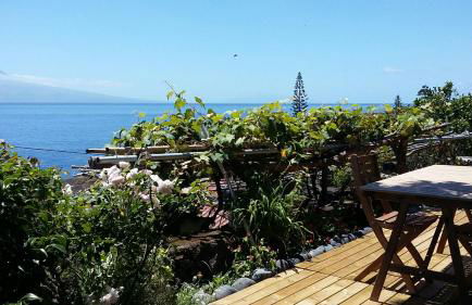 Casa do Zé - AL - Photo 4