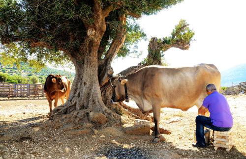 Country House S'Ozzastru - Foto 78