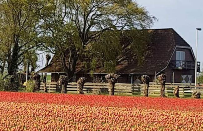 Country Life Comfortable Holiday Residence - Foto 13