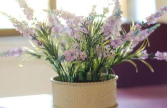 Ferienhaus am Hainberg - Foto 14