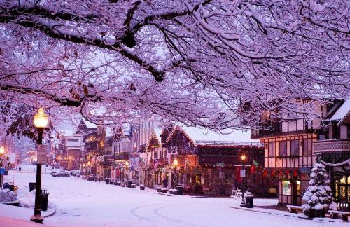 Pet-Friendly Cabin Rental Overlooking a River near Skykomish, Washington - Foto 6