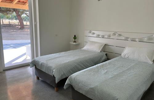 Monte Casa Branca - Foto 41