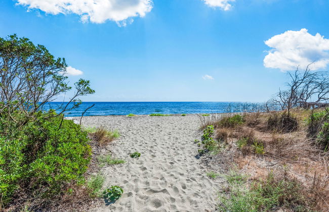 Maison Gerard - Photo 41