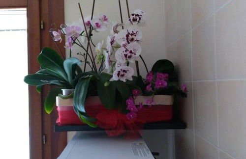 CASA ORCHIDEA (Cod. IUN P9071) - Foto 11