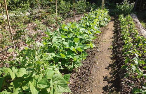 Healing Acres - Foto 41