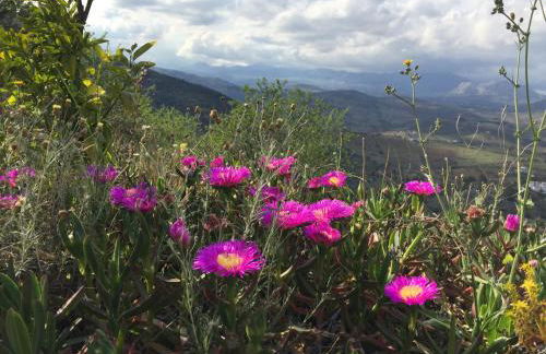 Loma Los Pelones 78 - Foto 21