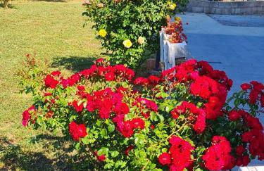 Casa Vacanza Il Giardino del Sole Treglio - Foto 13