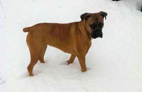 Charming Downstairs Unit - Foto 39