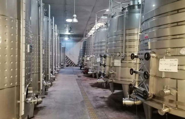 Dão Region Wine Tour - Photo 8