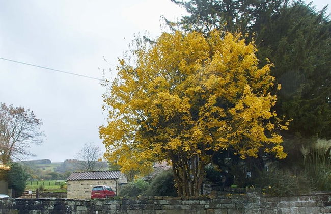 Host Stay Rosella Cottage - Foto 51