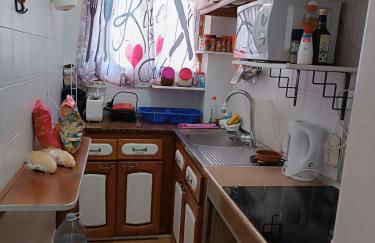 Apartment in La Aldea San Nicolas Gran Canaria - Foto 33