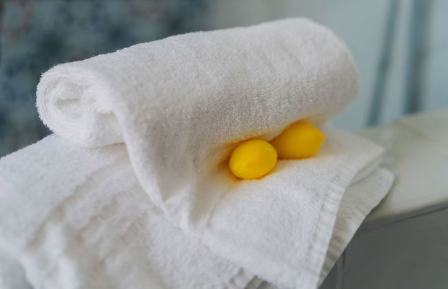 Lemon Factor Sorrento - Photo 35