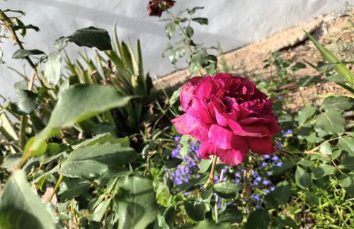 Primrose Home in Georgioupoli - Foto 28