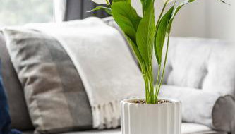 City Gem - 2 Bed House, 6 mins from Liverpool Street, Shops & Restaurants - Foto 5