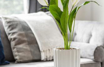 City Gem - 2 Bed House, 6 mins from Liverpool Street, Shops & Restaurants - Foto 5