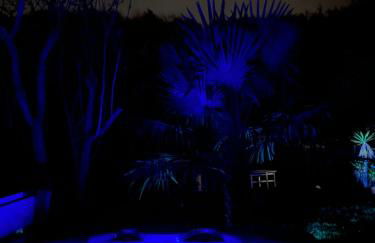 Privates Ferienhaus mit Pool & Whirlpool in Bad Dürkheim - Foto 6