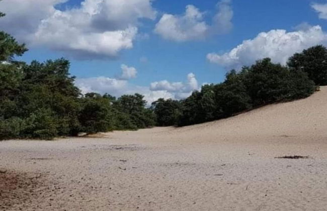 Bungalow With a Terrace at Bedafse Bergen - Photo 27