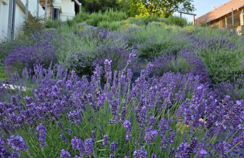 Kuća za odmor MIRTA - Foto 5