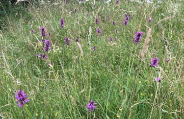 Cosy Stable at Oak Farm - Foto 20