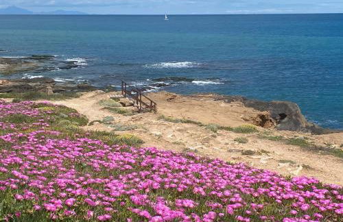 Apartment-House La Mata Torrevieja - Foto 36