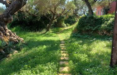 el paradiso - Foto 15