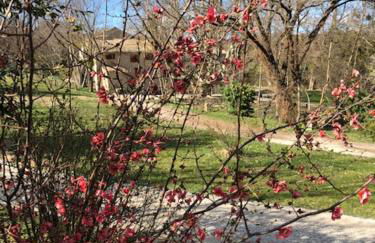 Le Vieux Moulin - Foto 60