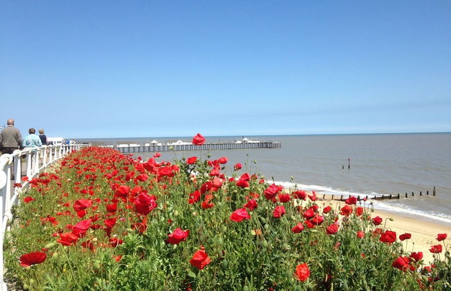 Fern Cottage Yoxford Suffolk - Whole House - Foto 42