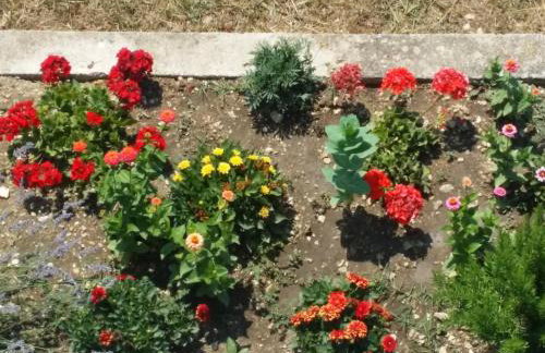 Marina Slano apartment - Foto 26