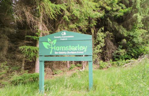 Dale View - Photo 21