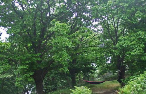 Hani Kastania - Chania retreat for families and groups for holidays and workshops - Foto 32