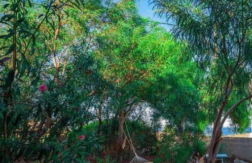 Casa Sofianna 2-bedroom home next to sandy beach - Foto 16