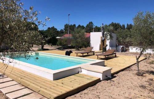 Amélia's House (Casa das Amélias) - Foto 33