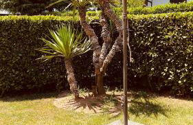 Casa Carollo in Franciacorta- tra i laghi di Iseo e di Garda - Foto 30