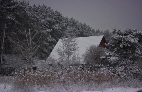 Sowa i Kumple - Foto 6