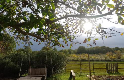 Golden Valley apartment & ranch - Foto 2