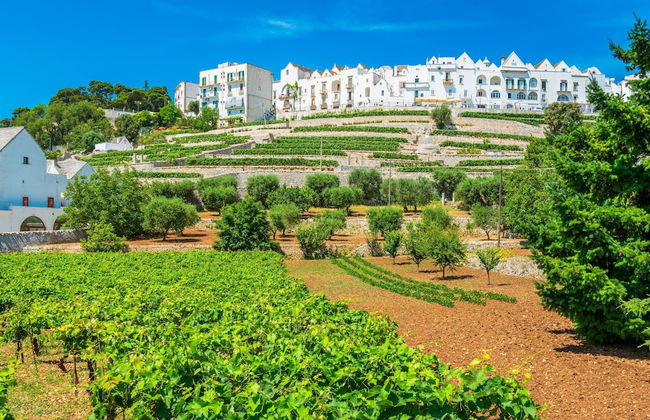 Tenuta Nicla With Pool Locorotondo - Foto 54