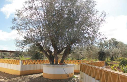 Montinho do Palanque - Foto 50