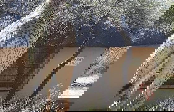 Kruger Cottage - Foto 30